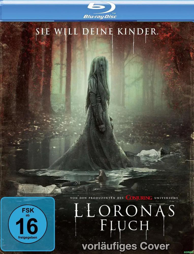 百度网盘 哭泣女人的诅咒 The Curse Of La Llorona 2019 1080p BluRay x265 HEVC 10bit AC3 2Audios ZHP 台配国语 英语