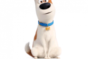 [可遇不可求，没人看顶就删]2019年高分喜剧冒险动画电影《爱宠大机密2》公映国语无字幕无水印小体积版约500m左右[失效不补]