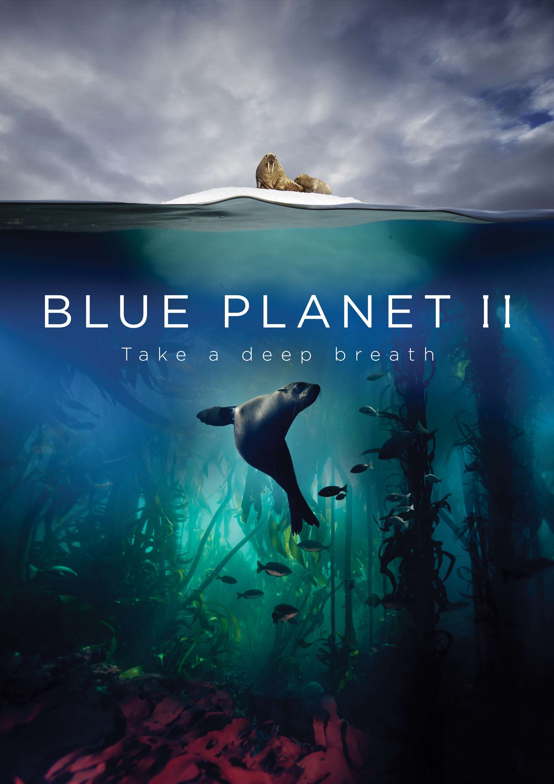 蓝色星球2blueplanets022017全7集国语音轨dts