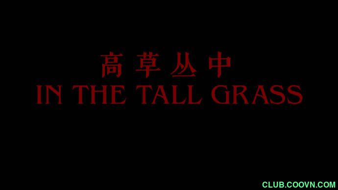 [高草丛中]2019.WEBRIP.1080P.AC3.H264.特效中英双字[百度云][双版/共5.88G]