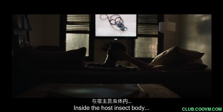 博多之子 Every Time I Die (2019)1080p中文字幕2.18GB[BT+磁力]
