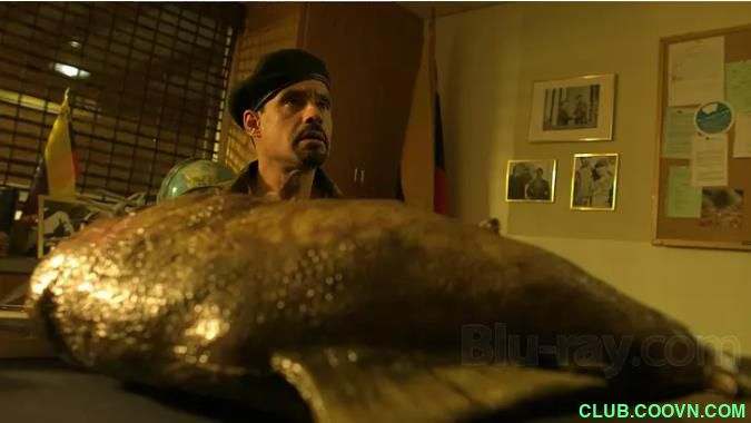 超级食人鱼 Mega Piranha (2010)720p中文字幕989.04MB[BT]