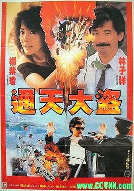 [百度云][香港][1987][华文修复][通天大盗][林子祥/杨紫琼/郑则仕][动作冒险][国语中字][WEB-DL1080P-MKV/2.7GB]