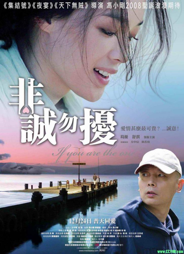 [720P&1080P]非诚勿扰.If.You.Are.The.One.2008.CHN.Blu-ray.x264.AAC-TYZH.国语