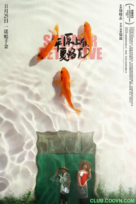 平原上的夏洛克 (2019)    1080p  670mb-1.03g    4k1.6g[BT]