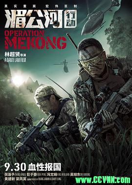 [湄公河行动][2016][动作][高分8.0][国语中字][BD720P][MKV] 2.59G[BT+磁力]