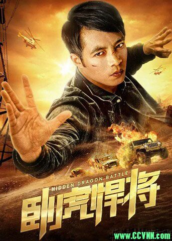 2019动作剧情《卧虎悍将》1080p.HD国语中字,1.00g[BT+磁力]