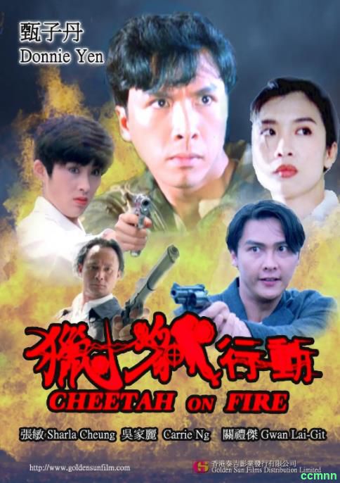 [动作] [香港] [1992] [猎豹行动] [甄子丹/吴家丽] [国粤，中英字] [1.55G] 无广无水无台87分钟LD版和修复版，请收藏！-百度网盘