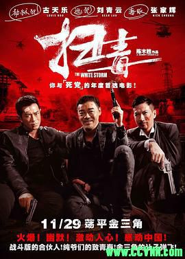 [百度云][2013][扫毒加长版][剧情/动作][刘青云/张家辉/古天乐][高清无水印][国粤双语][MKV/6.43G][147分钟未删减版全网首发]