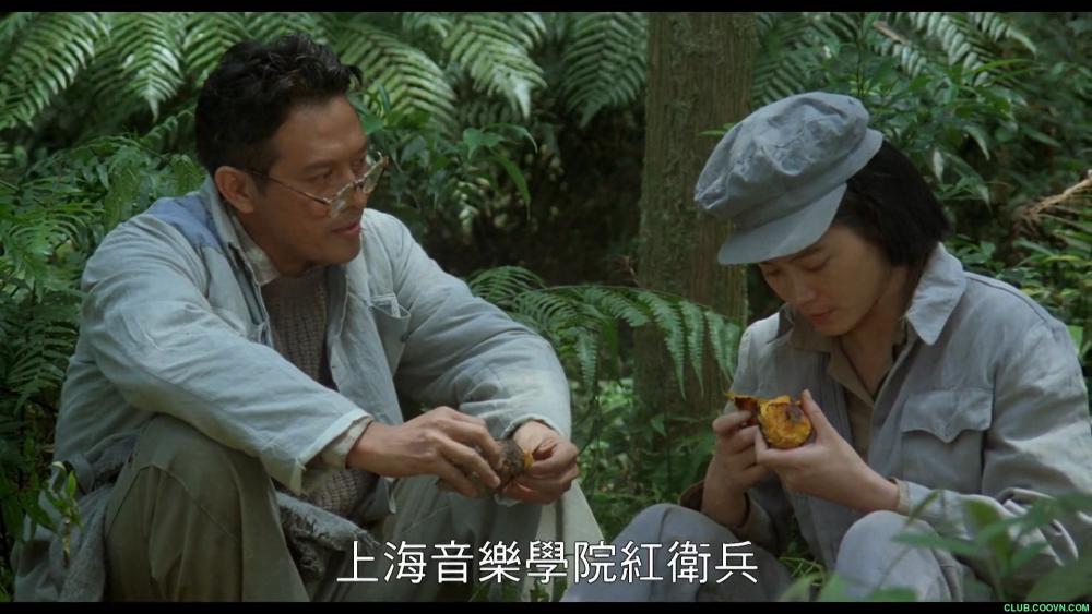 贩母案考 陆小芬演绎和七个老公的故事 完整版 1990年 2.11GB 国语国字 百度网盘