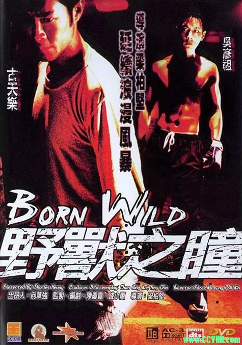 [野兽之瞳][2001][吴彦祖 古天乐 谷祖琳][国粤双语.外挂中字]【BD-720P 】【5G】-百度网盘