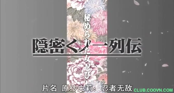 忍者无敌 Force of the Ninja (1988年)美国340MB-百度云