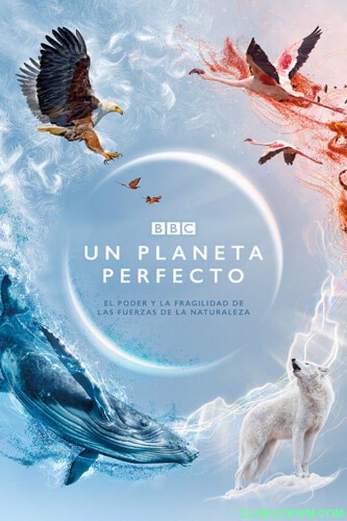 【2021年】完美星球4k A.Perfect.Planet.S01.2160p.蓝光原盘[BT]133.02 GB