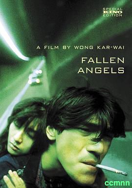 [1995][香港]【李嘉欣】[堕落天使][MKV/2.49G][国语中字][高码率1080P版]-百度网盘