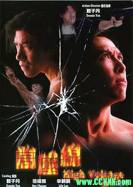 高压线.1995动作主演: 甄子丹 / 张耀扬. 【寰亚数码修复】国粤双语中字.WEB-DL-BD1080P MKV 4.26G-百度云