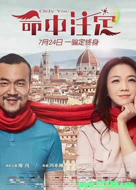 [百度云][2015][命中注定][喜剧/爱情][高清无水印无台标][汤唯/廖凡/苏岩][国语中字][MP4/2.48G][稀有资源全网首发]