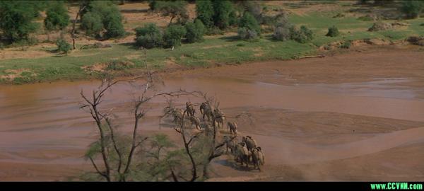 ｛首发！豆瓣7.1｝-【梦游非洲/非洲之梦I.Dreamed.of.Africa.2000.1080p.WEBRip】-中字114分钟完整版9.22GB-百度网盘