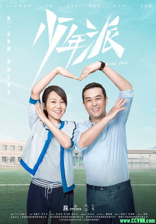 [少年派] (2019) [全40集] [国语中字] [4K] [BT+磁力]，总共73G。