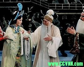 程婴救孤.2008舞台. 豫剧.MKV 580 MB[BT+磁力]