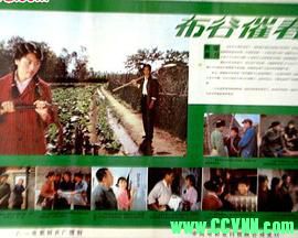 [80年代][布谷催春][1982][八一电影制片厂出品][FLV] 232 MB[BT+磁力]