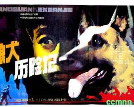 [狼犬历险记][1985][高分8.0] 2.14G [阿里云盘]