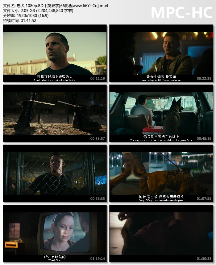 最新人狗情未了，硬汉与狗狗的完美组合。忠犬.2022喜剧.HD1080P.中英双字.Dog.MPEG 2.0G　-百度网盘 [欧美]