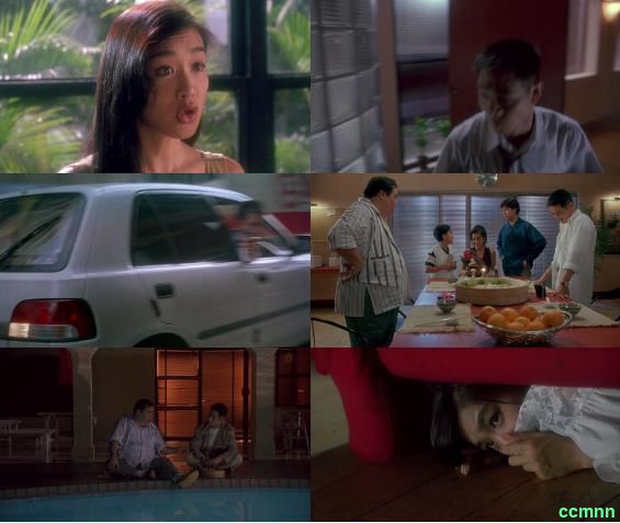 1994 [香港] [剧情] [纯净版] [BT下载][中南海保镖][HD-MKV/7.10GB][国粤多音轨/简体字幕][流媒体版本]