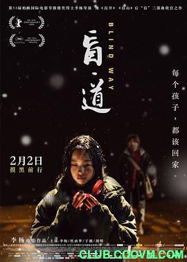 盲·道.2017. 国语中字.BD1080P.MKV 1.21 G-百度云