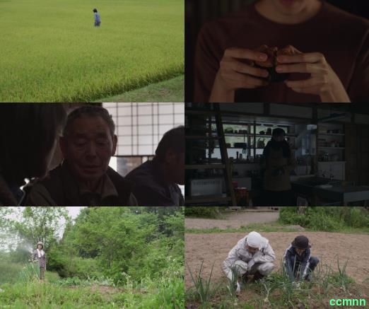 2015[系列] [日本] [合集] [纯净版] [BT下载][小森林][共2部合集][BD-MKV/14.11GB][简繁字幕][1080P][H265编码]