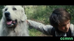 [2015] [其它] [剧情] [纯净版] [BT下载][灵犬雪莉：冒险再出发][WEB-MKV/2.56GB][中文字幕][1080P]