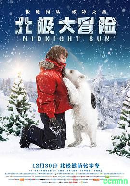 [蓝光原盘]15G.ISO.北极大冒险.Midnight Sun.2014.BD1080P.德/英双轨.中字.[阿里云盘]