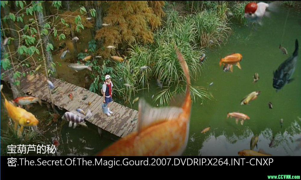 经典儿童片——宝葫芦的秘密  2007  The Secret of the Magic Gourd  DVDrip  百度网盘分享 1.3G